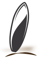 Skatinger - Elige tu tamaño 14'0''